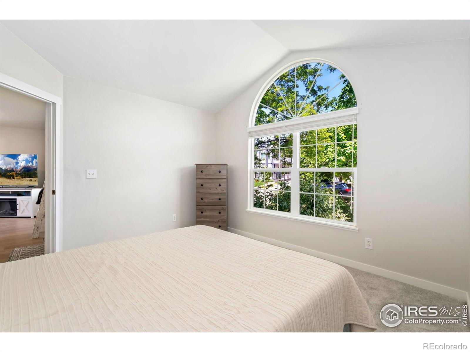 MLS Image #14 for 1301  fairfield avenue,windsor, Colorado