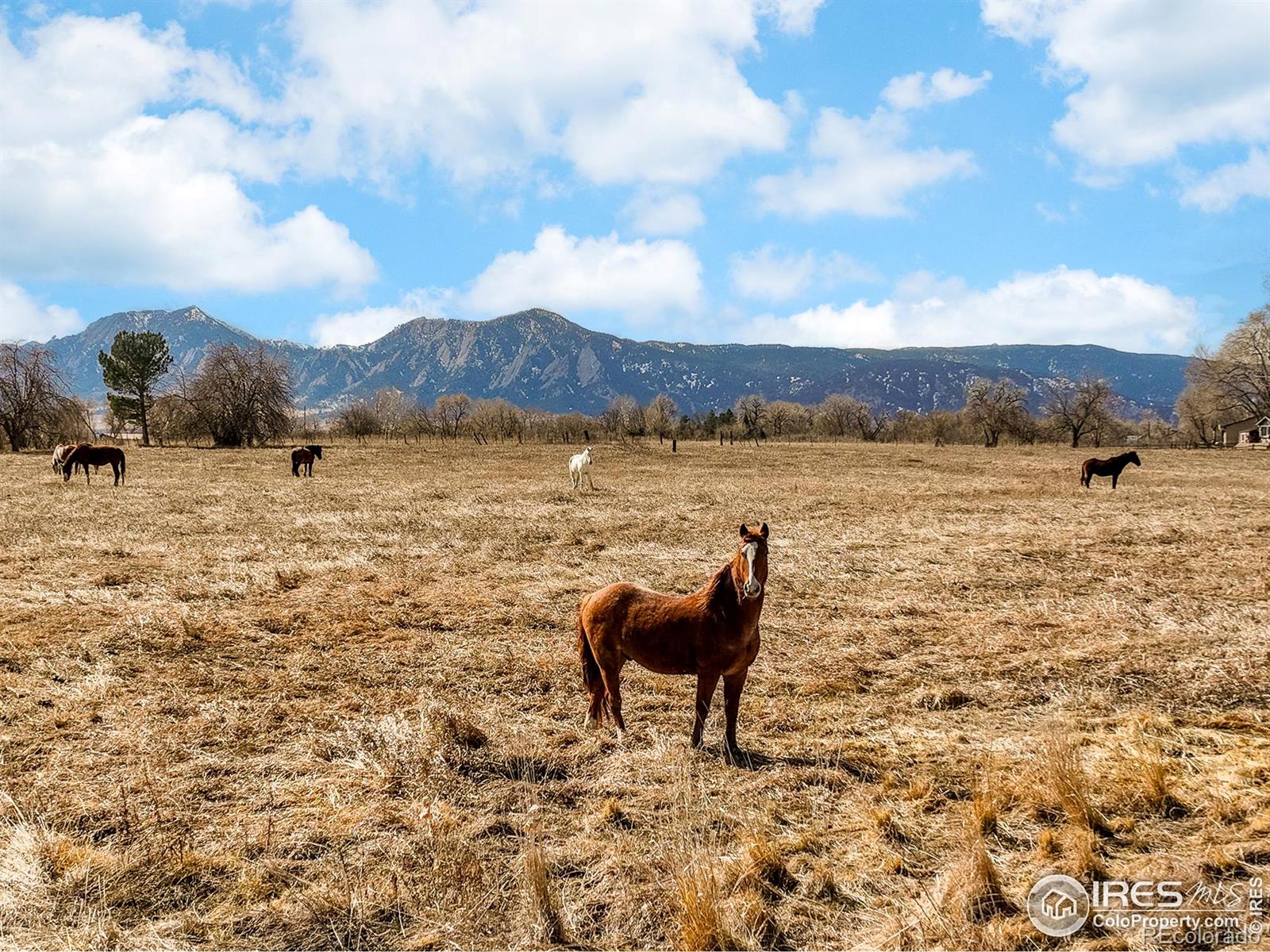 MLS Image #31 for 4547  tally ho trail,boulder, Colorado