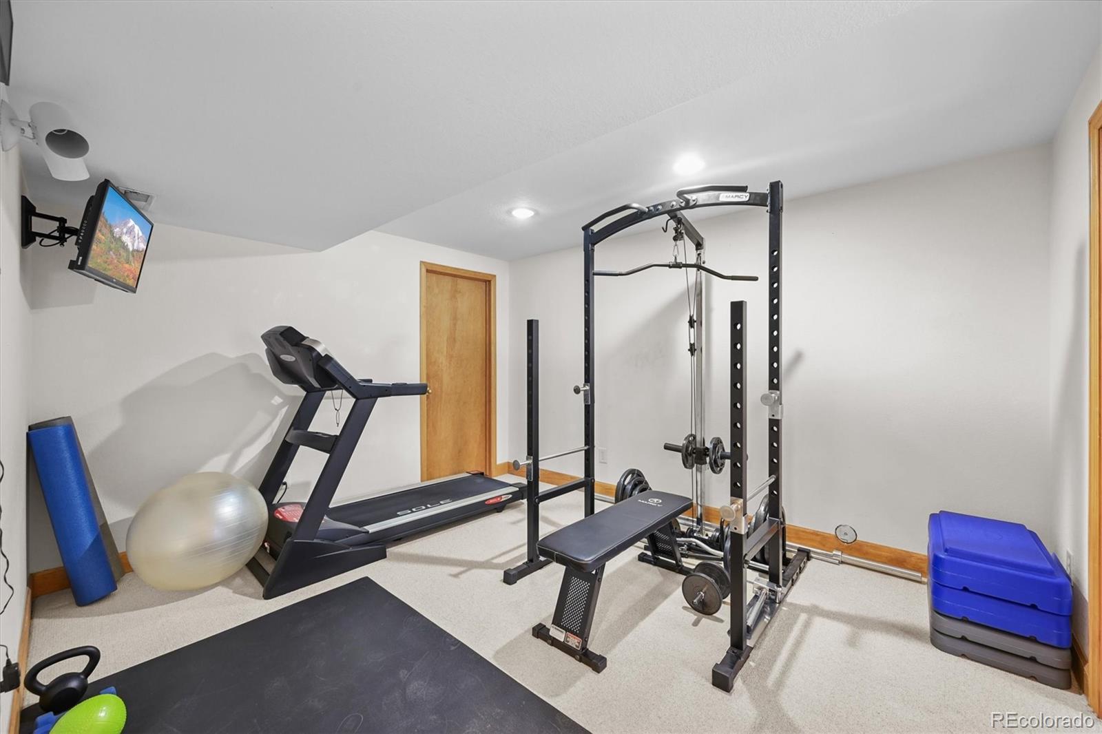 MLS Image #28 for 9916  sand cherry way,highlands ranch, Colorado