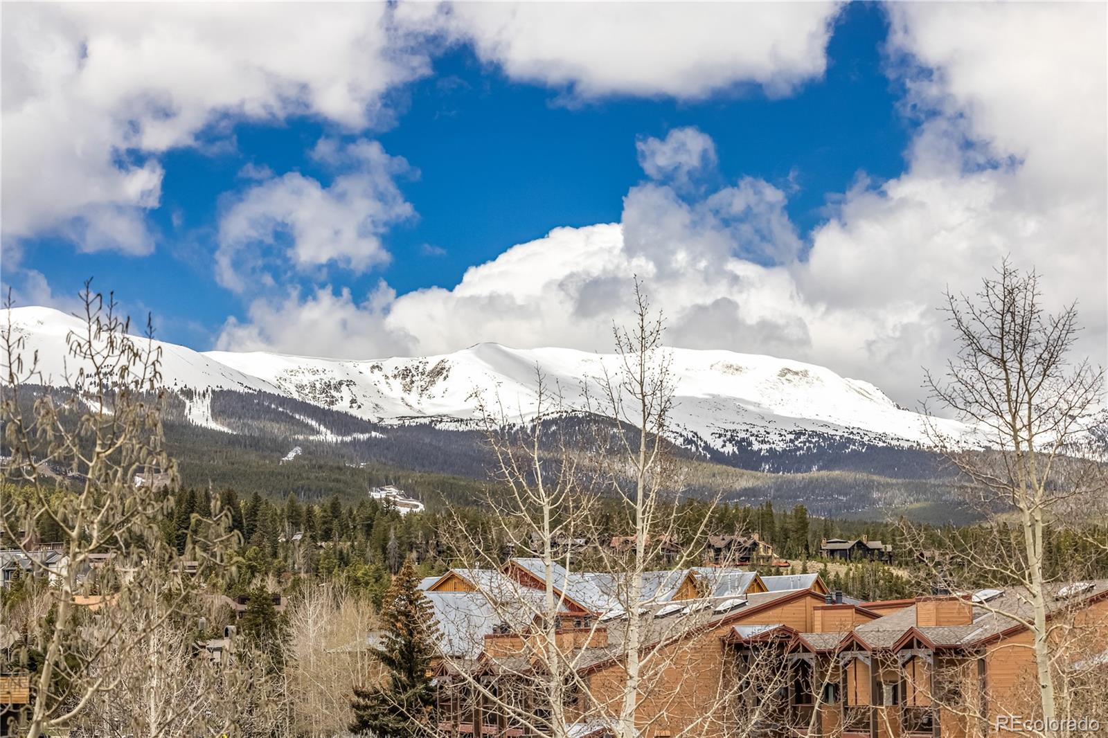 MLS Image #24 for 505 s main street,breckenridge, Colorado