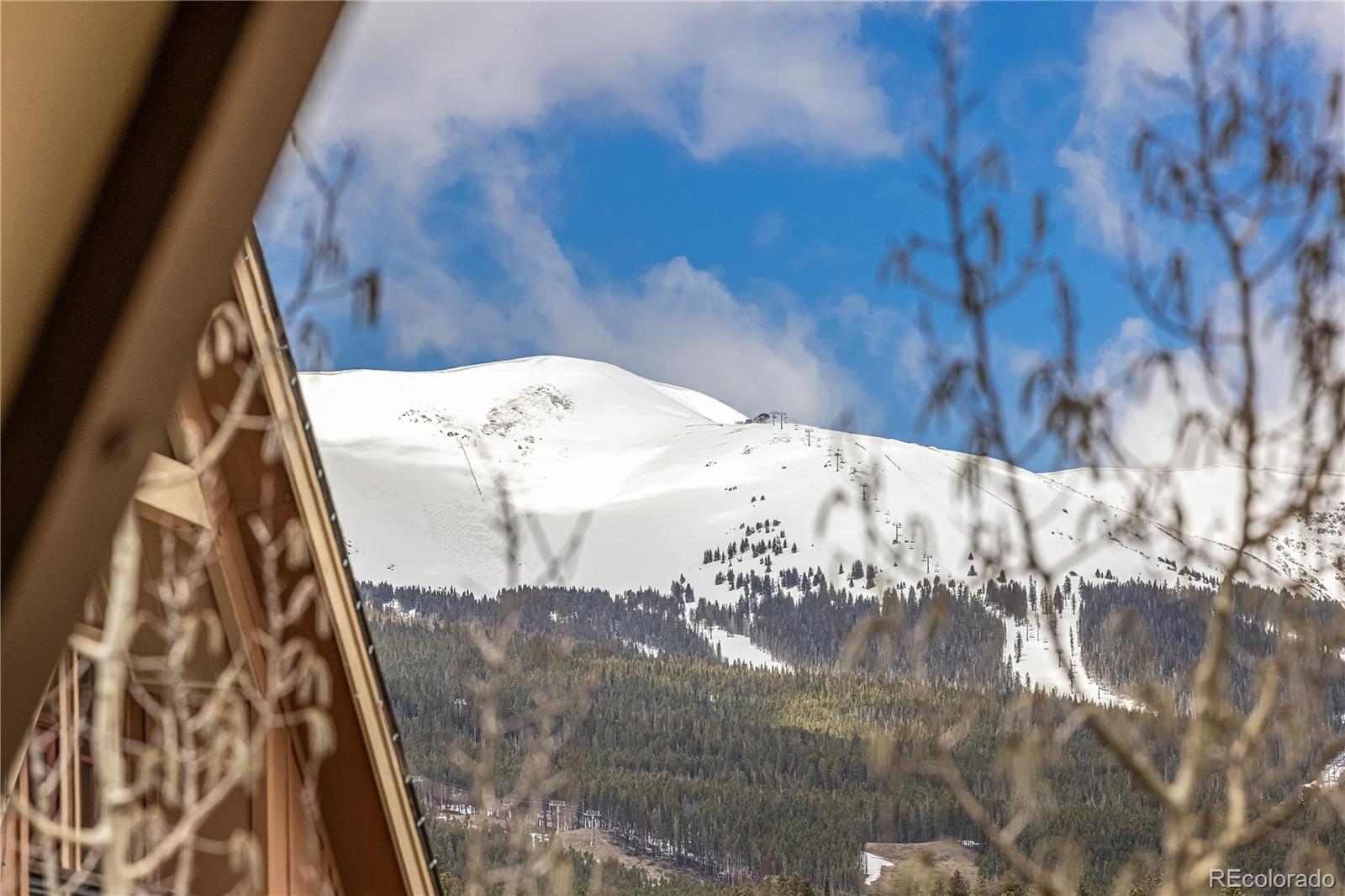 MLS Image #26 for 505 s main street,breckenridge, Colorado