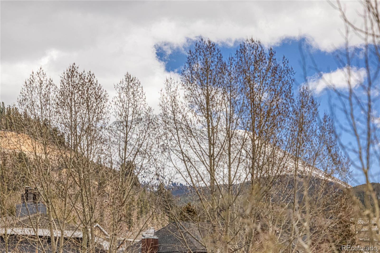 MLS Image #28 for 505 s main street,breckenridge, Colorado