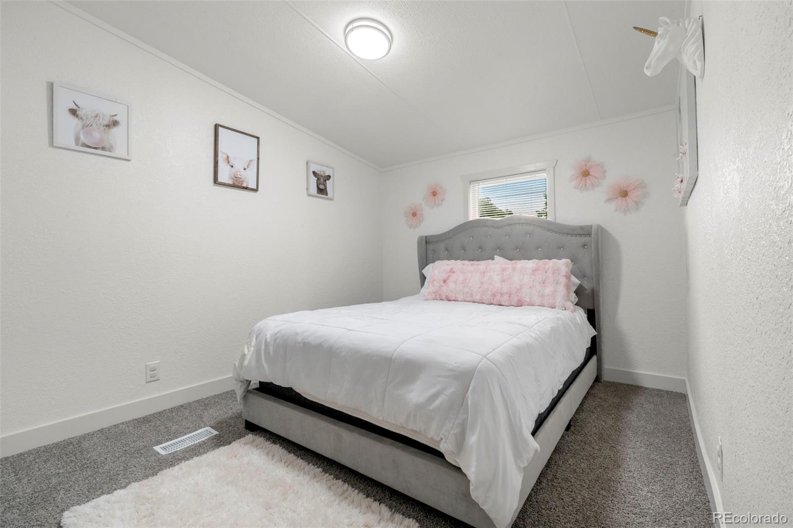 MLS Image #11 for 811  plum avenue,lochbuie, Colorado