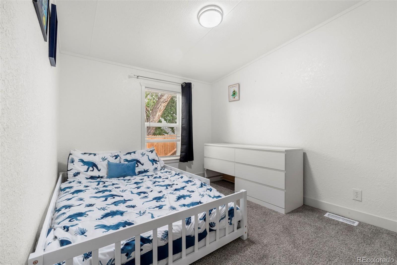 MLS Image #12 for 811  plum avenue,lochbuie, Colorado