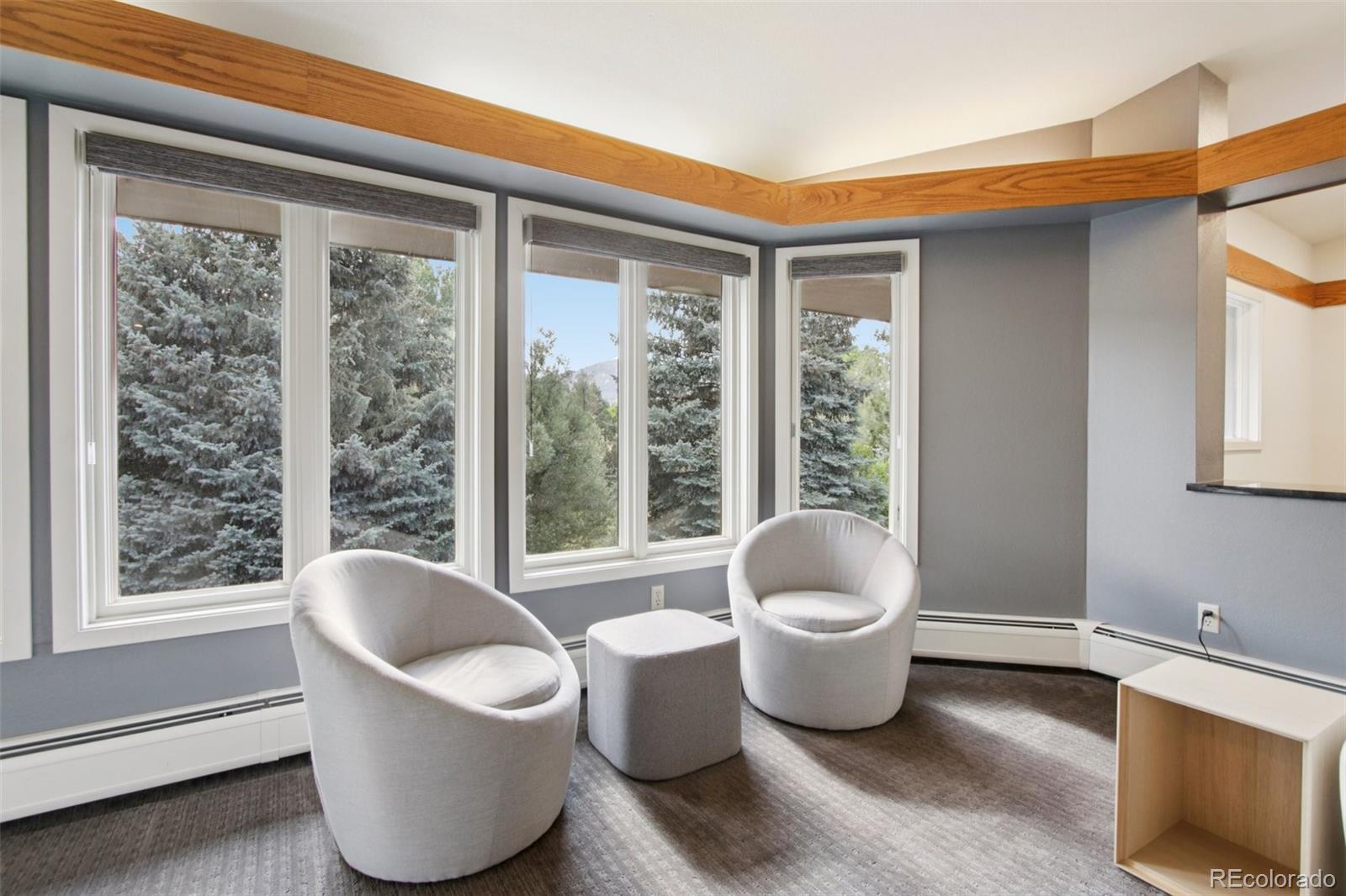 MLS Image #29 for 5852  willowbrook drive,morrison, Colorado