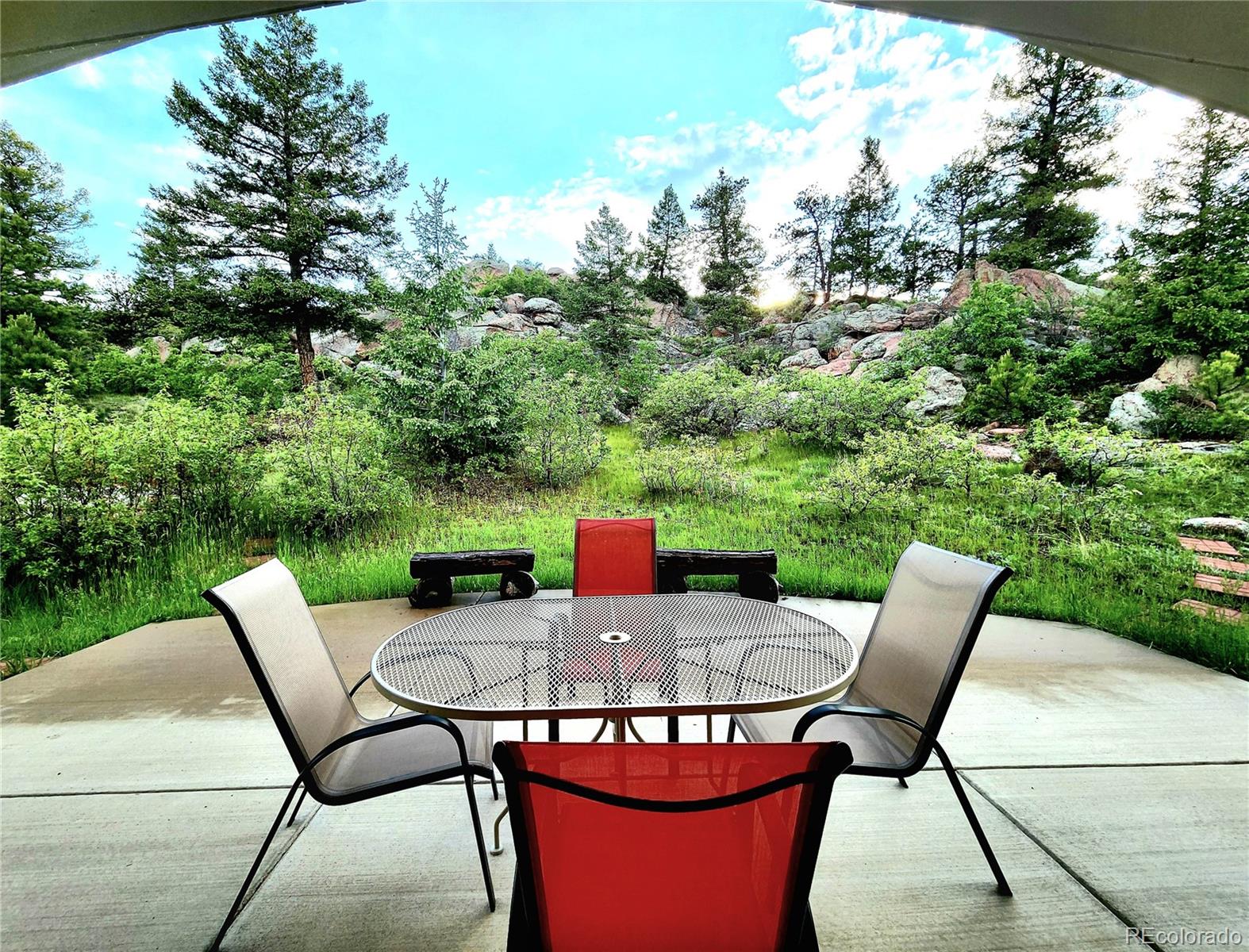 MLS Image #18 for 324  pike view lane,florissant, Colorado