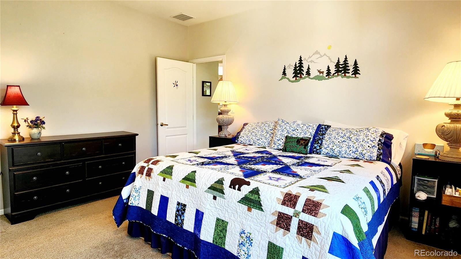 MLS Image #20 for 324  pike view lane,florissant, Colorado