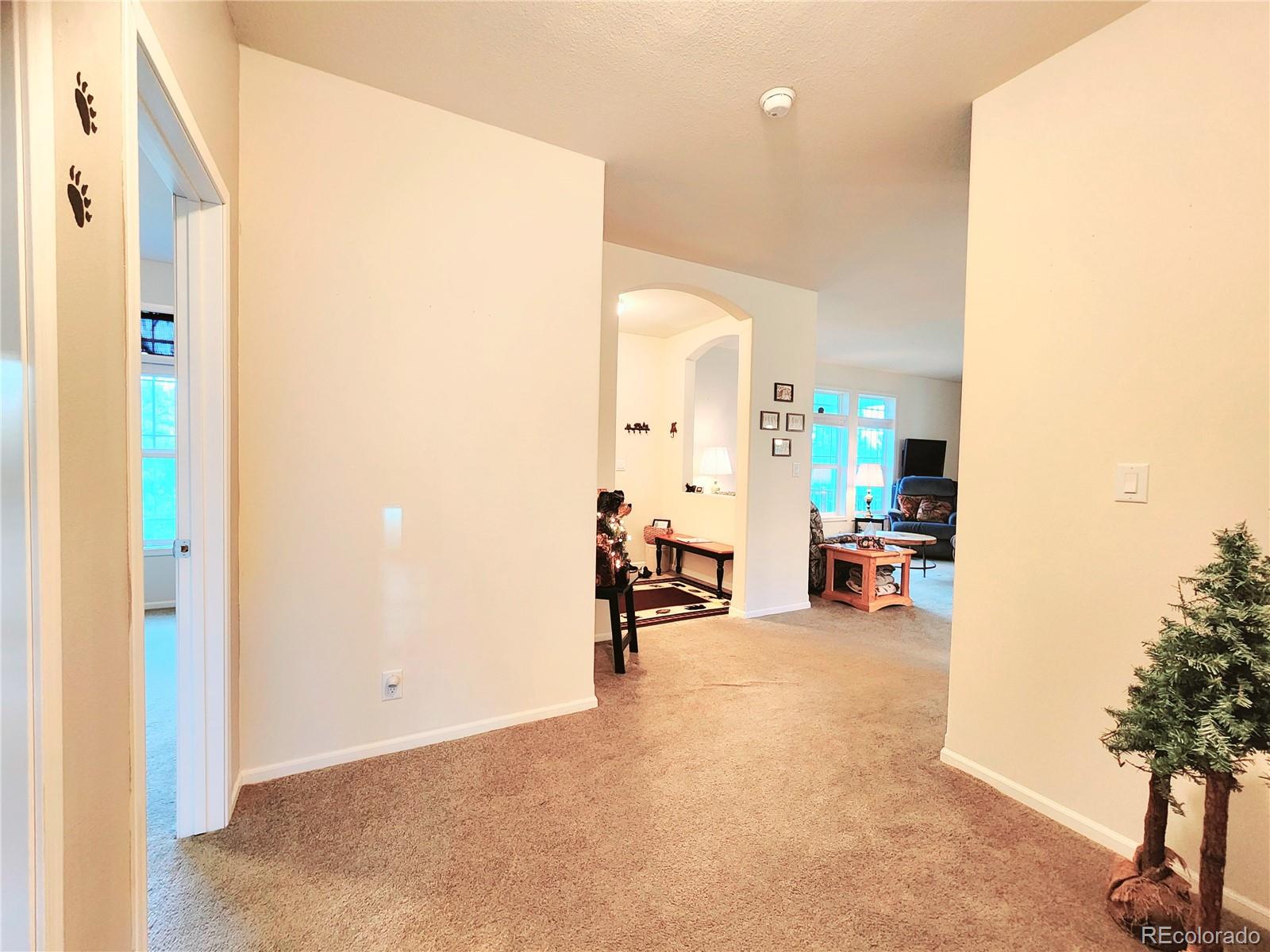 MLS Image #26 for 324  pike view lane,florissant, Colorado