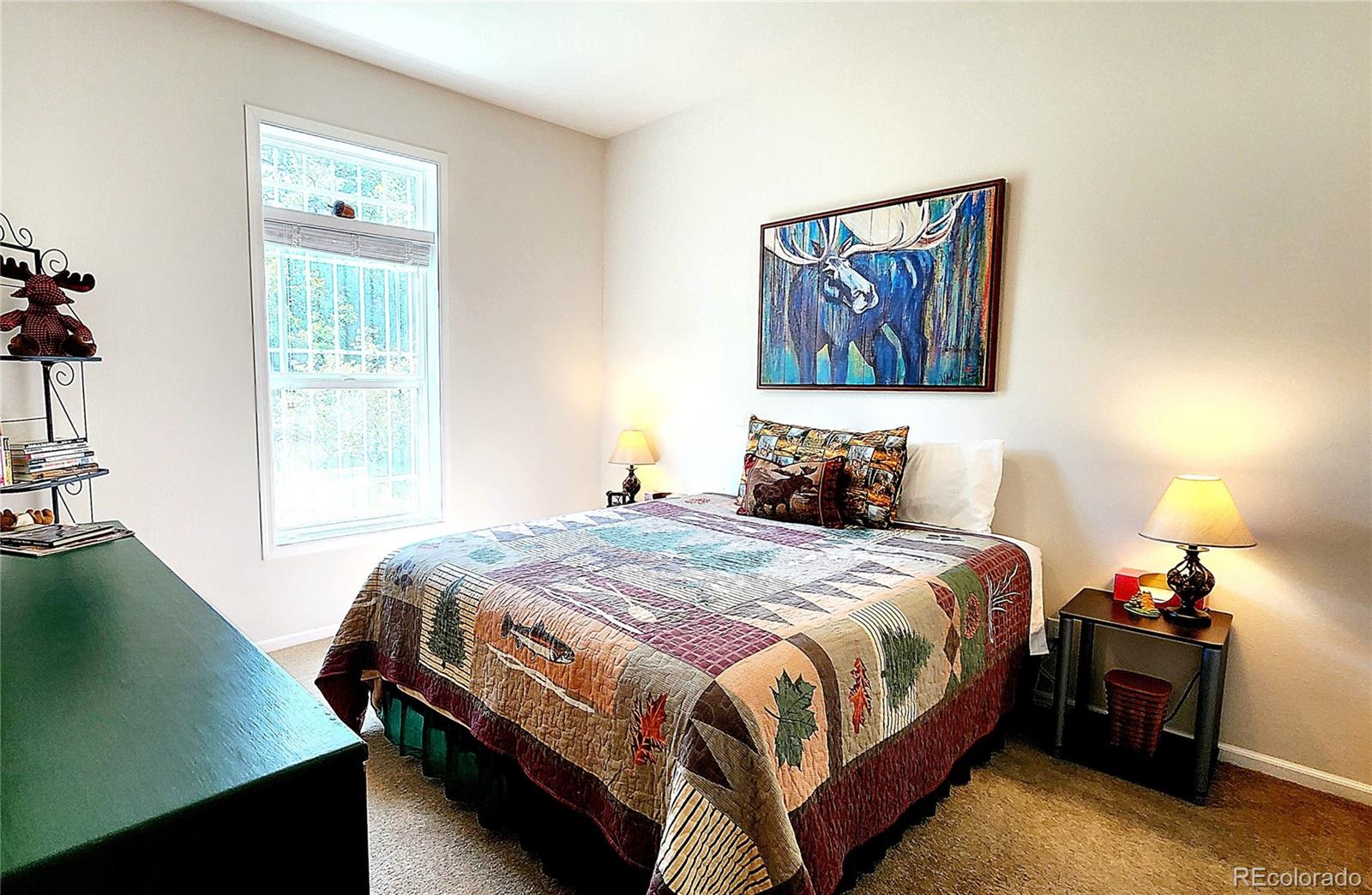 MLS Image #29 for 324  pike view lane,florissant, Colorado