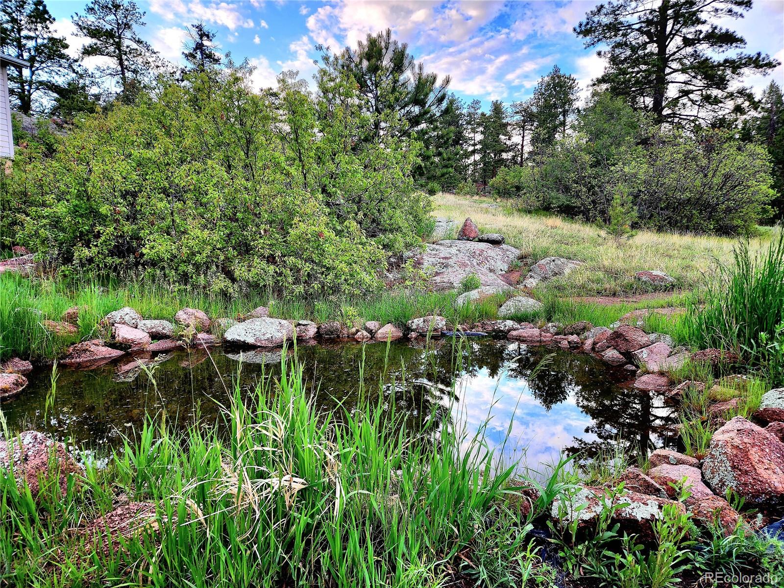 MLS Image #3 for 324  pike view lane,florissant, Colorado