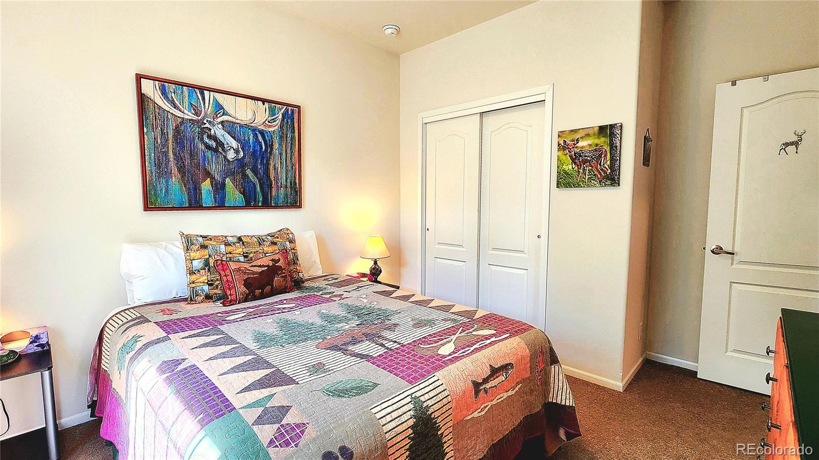 MLS Image #30 for 324  pike view lane,florissant, Colorado