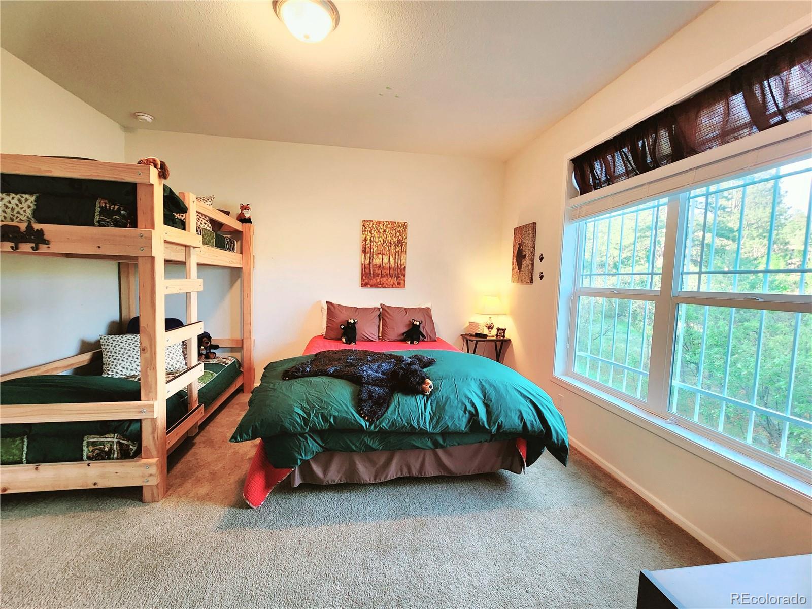 MLS Image #33 for 324  pike view lane,florissant, Colorado