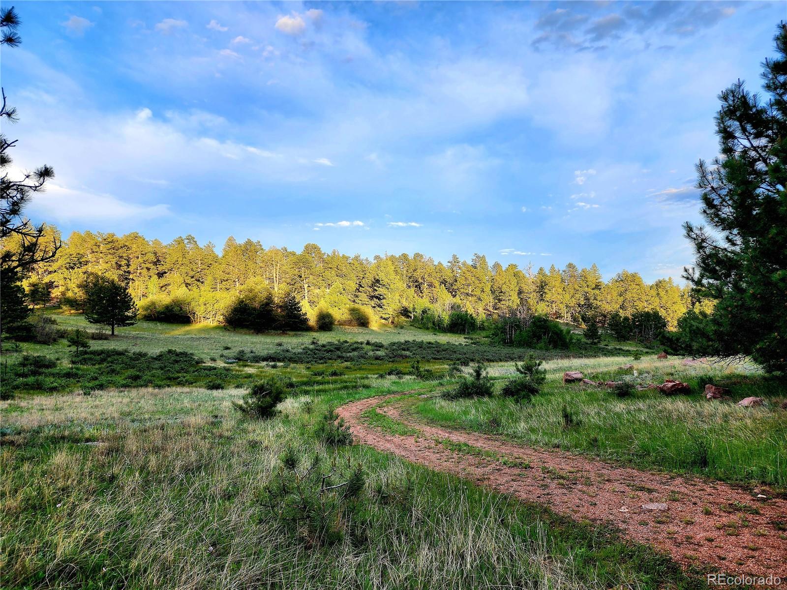 MLS Image #39 for 324  pike view lane,florissant, Colorado