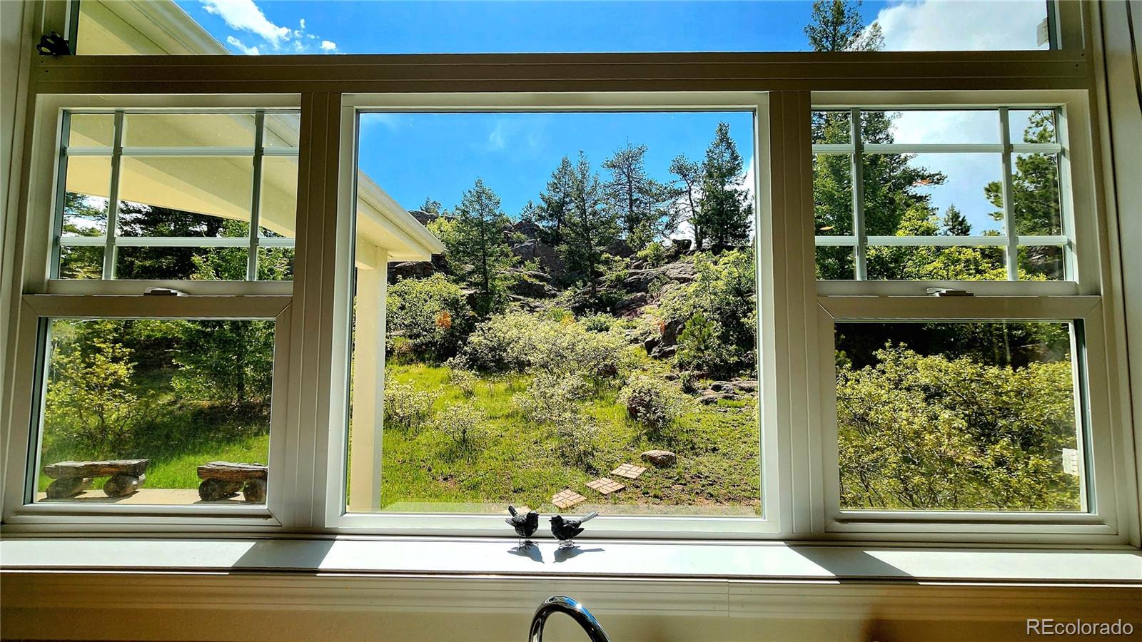 MLS Image #4 for 324  pike view lane,florissant, Colorado