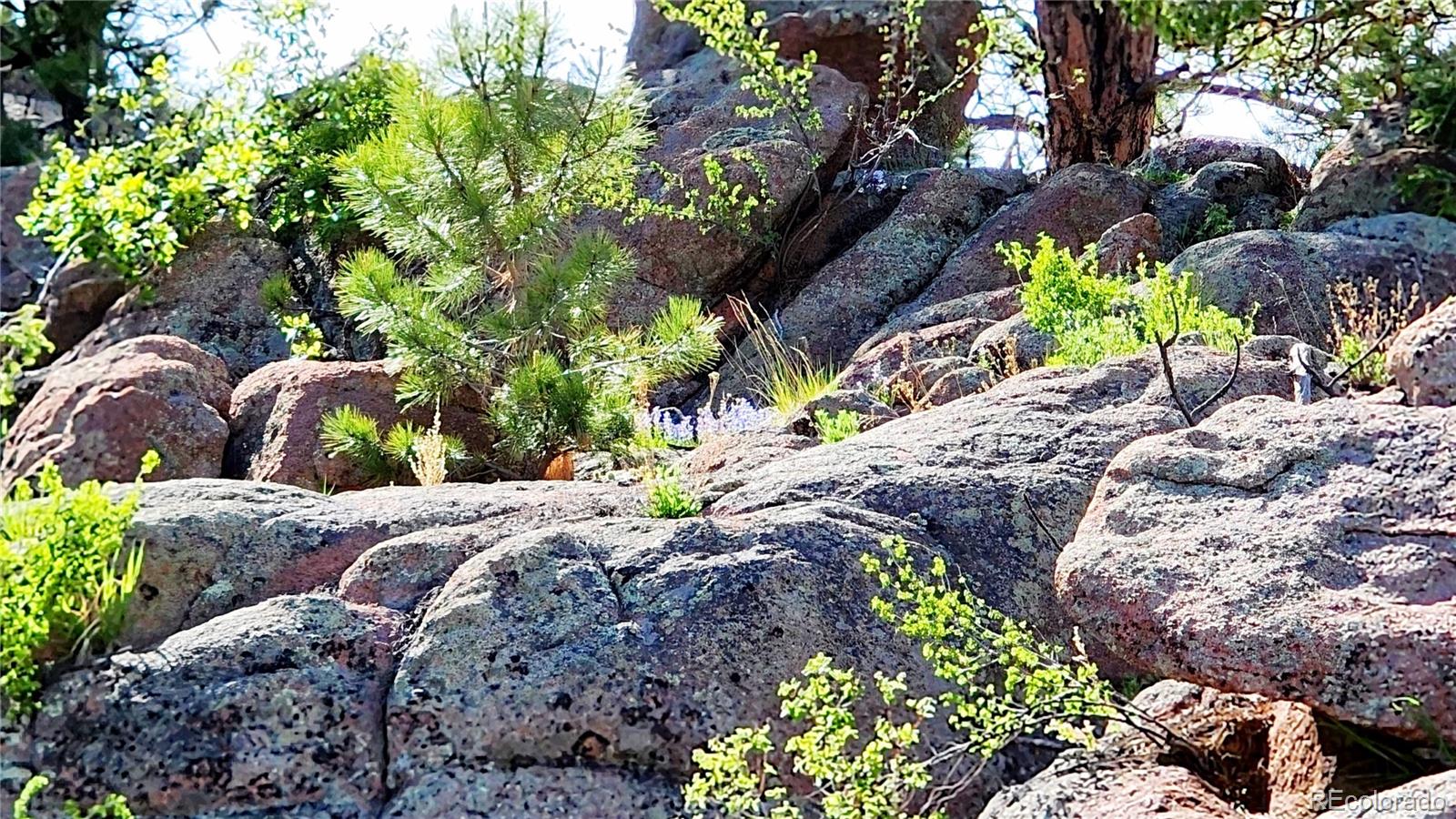 MLS Image #41 for 324  pike view lane,florissant, Colorado