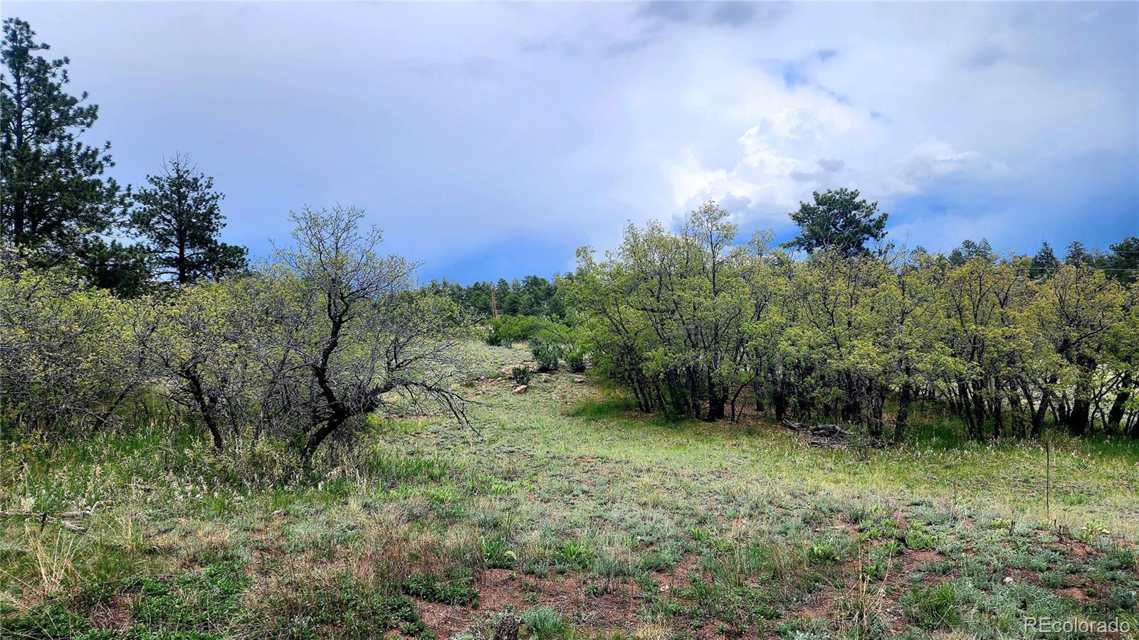 MLS Image #42 for 324  pike view lane,florissant, Colorado
