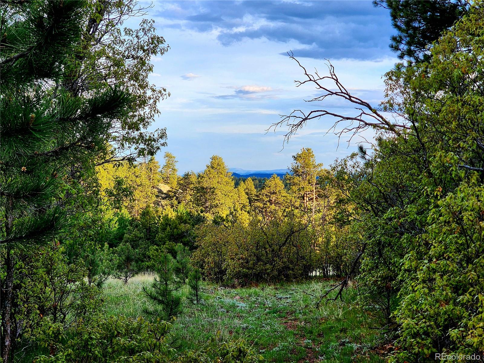 MLS Image #44 for 324  pike view lane,florissant, Colorado