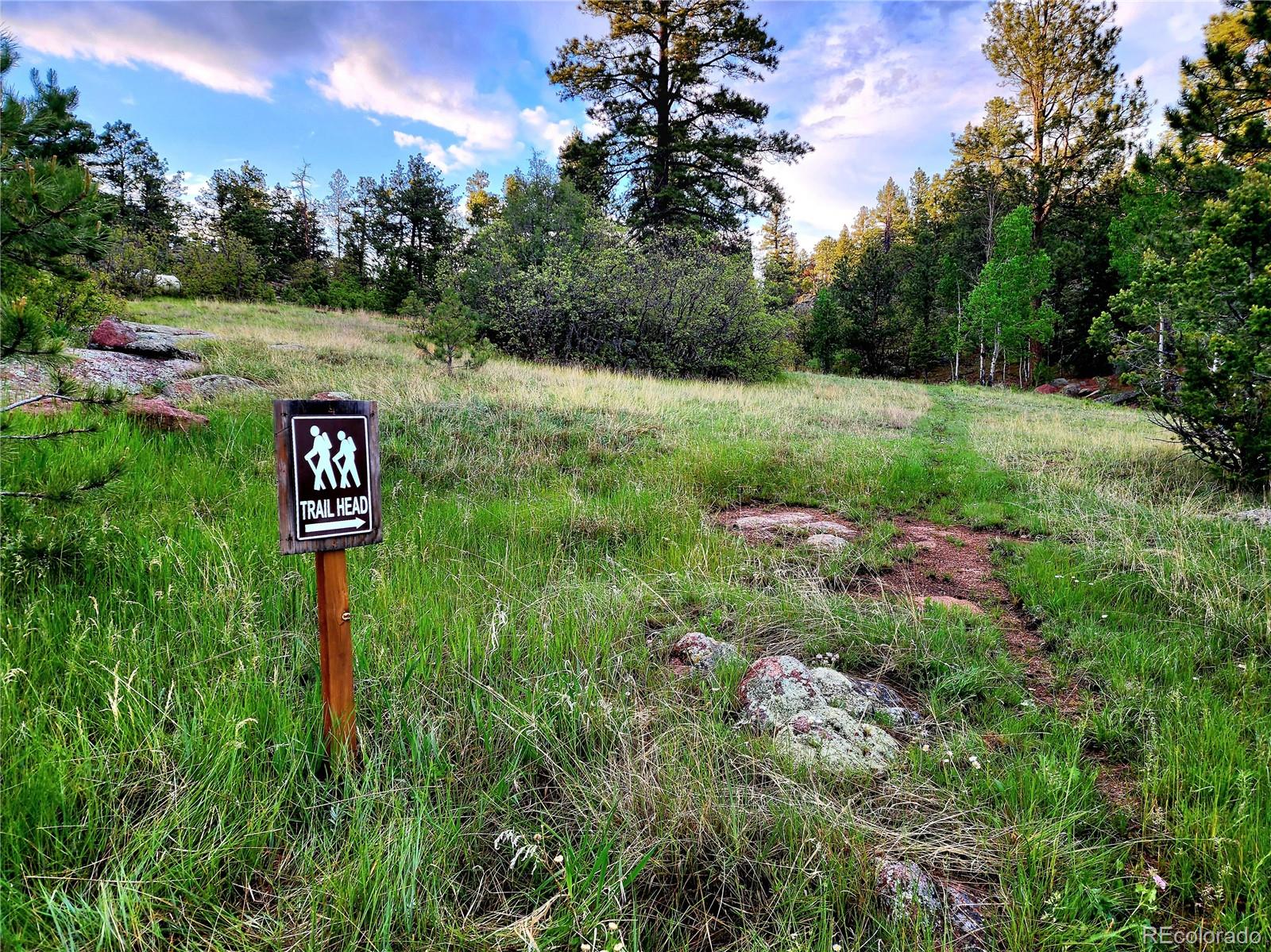 MLS Image #45 for 324  pike view lane,florissant, Colorado