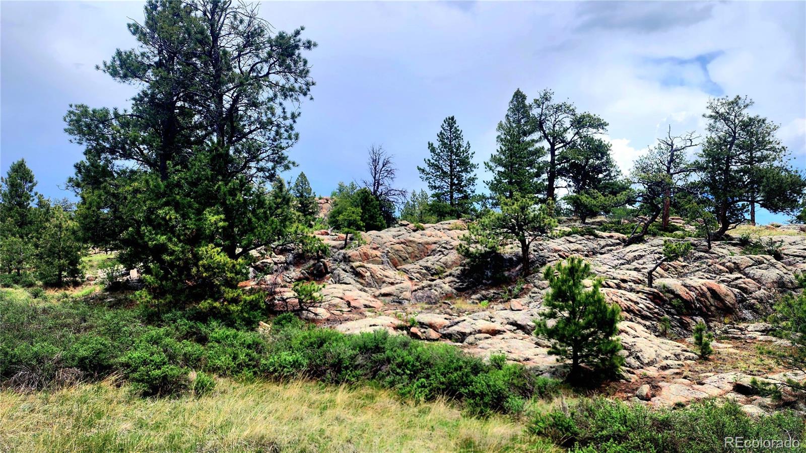 MLS Image #47 for 324  pike view lane,florissant, Colorado