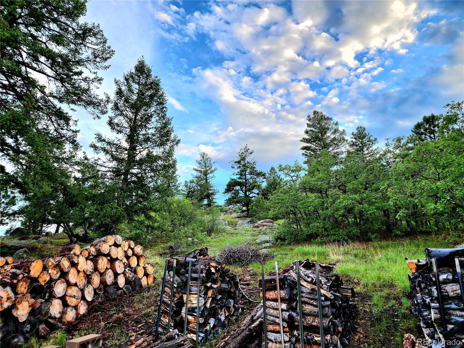 MLS Image #5 for 324  pike view lane,florissant, Colorado