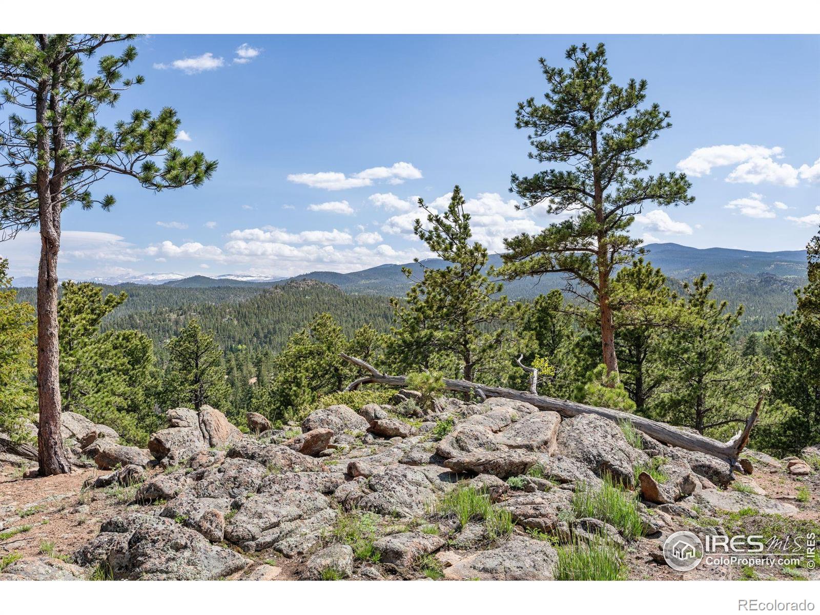 MLS Image #26 for 15  chillicothe court,red feather lakes, Colorado