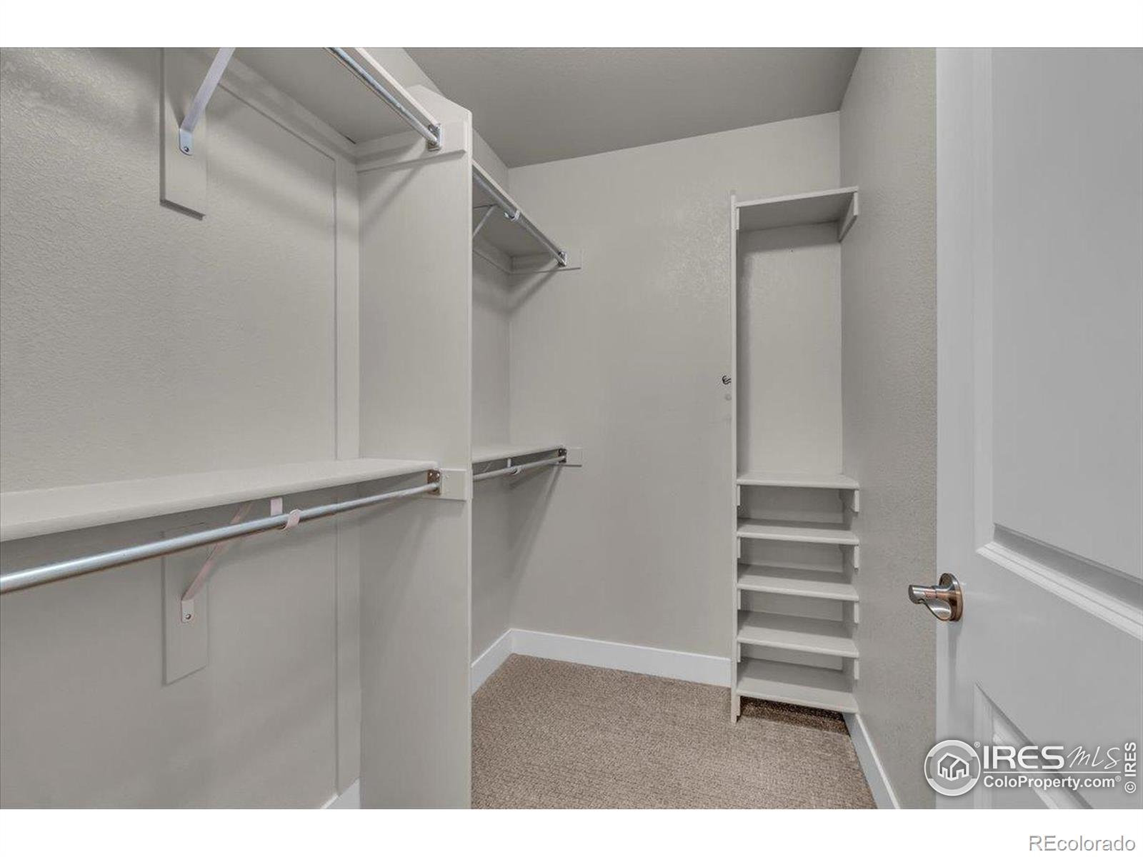 MLS Image #17 for 2608  kansas drive,fort collins, Colorado