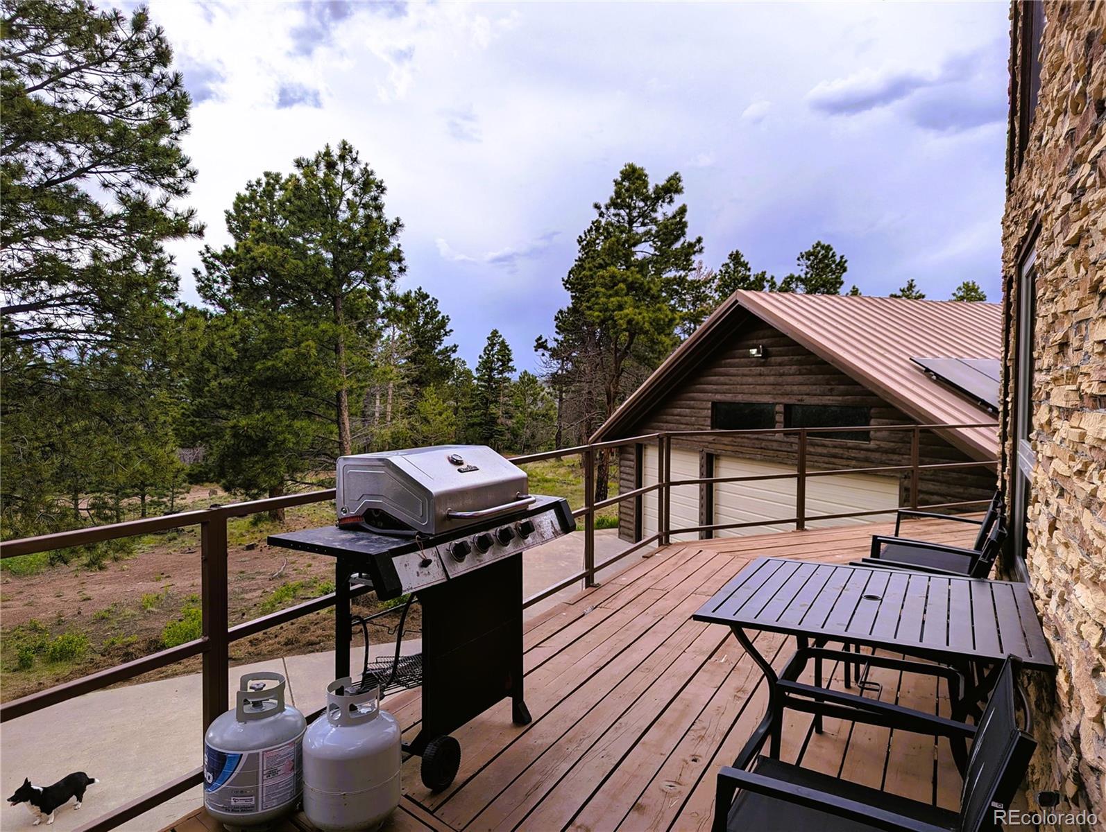 MLS Image #7 for 2540  biel place,fort garland, Colorado