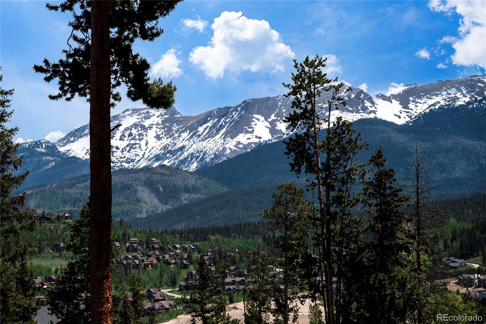 MLS Image #28 for 141  forest trail,winter park, Colorado