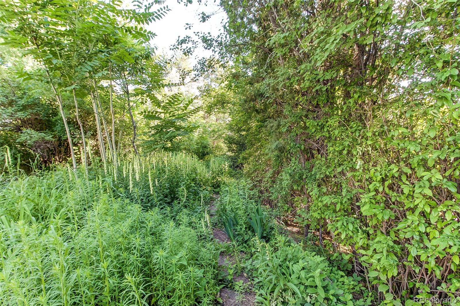 MLS Image #13 for 8888 w 37th place,wheat ridge, Colorado