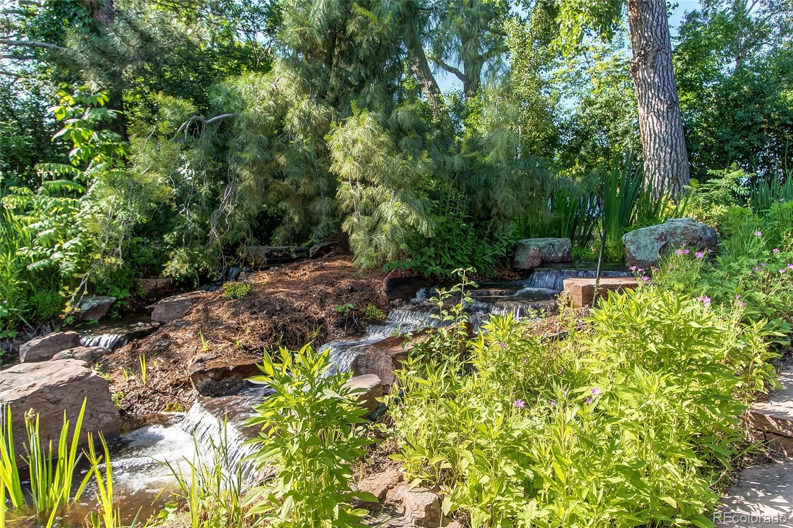 MLS Image #5 for 8888 w 37th place,wheat ridge, Colorado