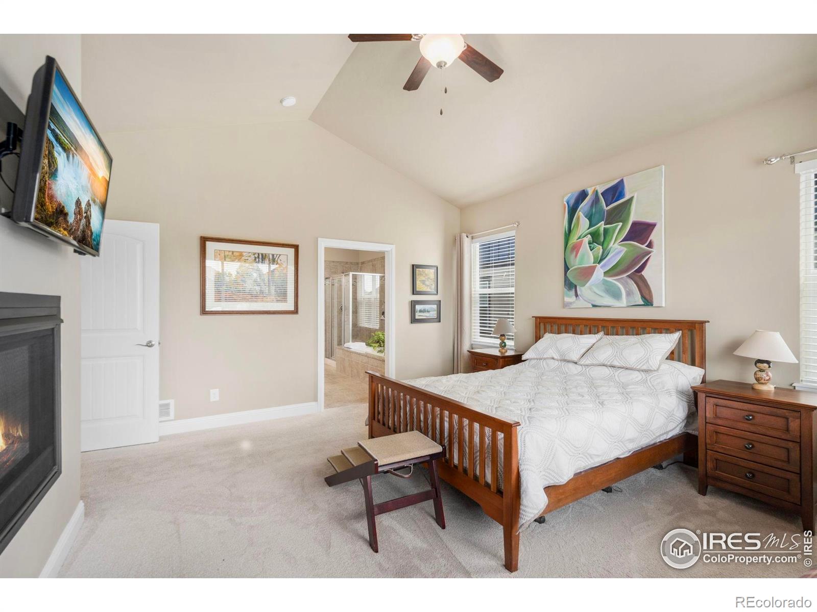 MLS Image #13 for 1327  leahy drive,fort collins, Colorado