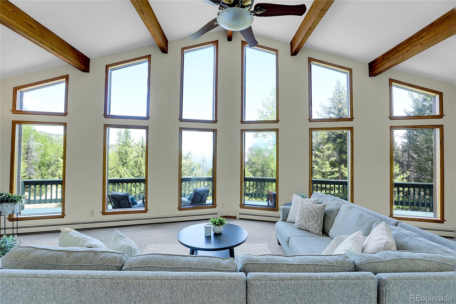 MLS Image #11 for 11333  conifer mountain road,conifer, Colorado