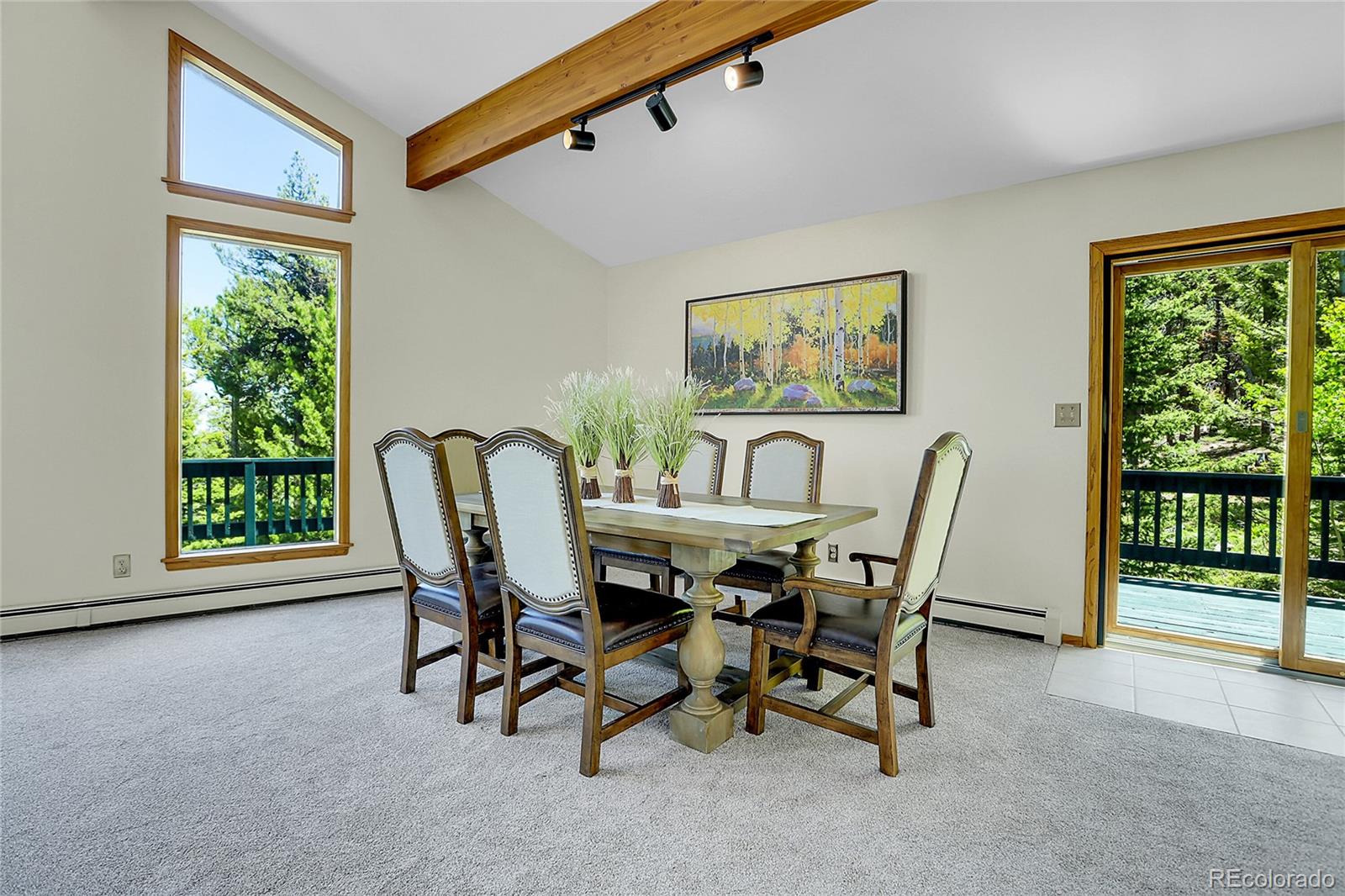 MLS Image #14 for 11333  conifer mountain road,conifer, Colorado