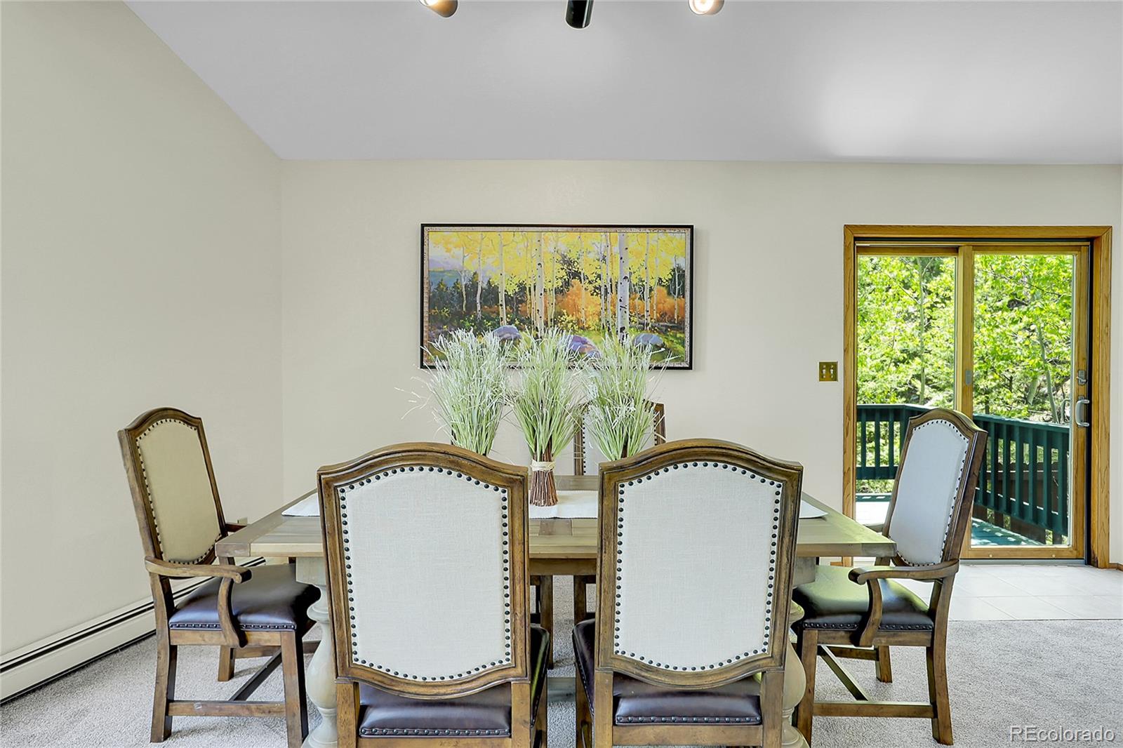 MLS Image #15 for 11333  conifer mountain road,conifer, Colorado