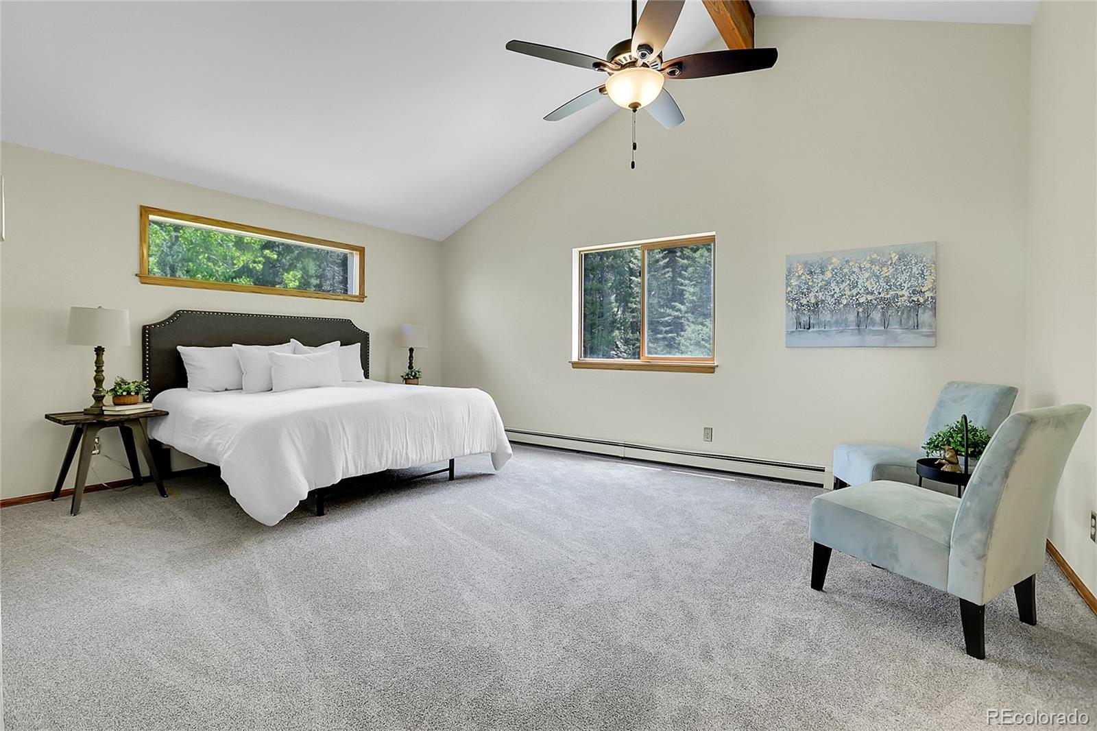 MLS Image #21 for 11333  conifer mountain road,conifer, Colorado