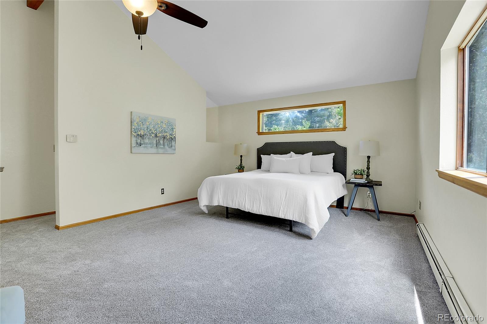 MLS Image #22 for 11333  conifer mountain road,conifer, Colorado
