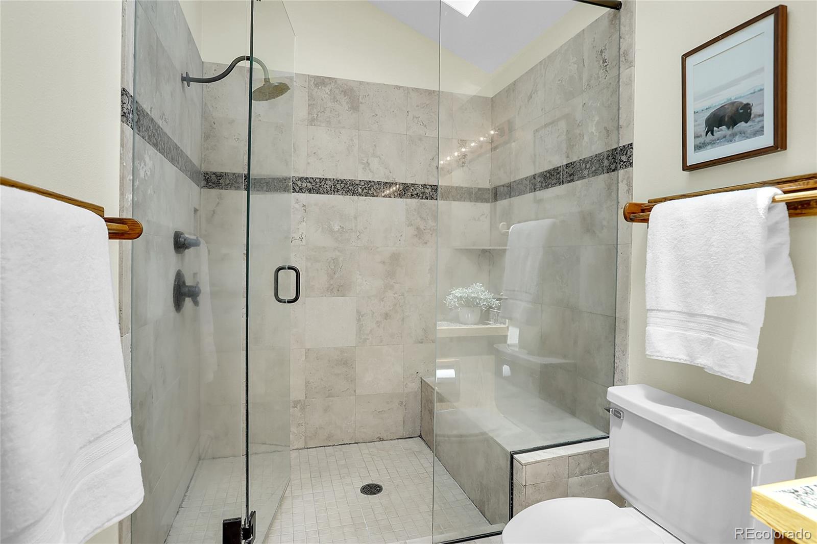 MLS Image #24 for 11333  conifer mountain road,conifer, Colorado