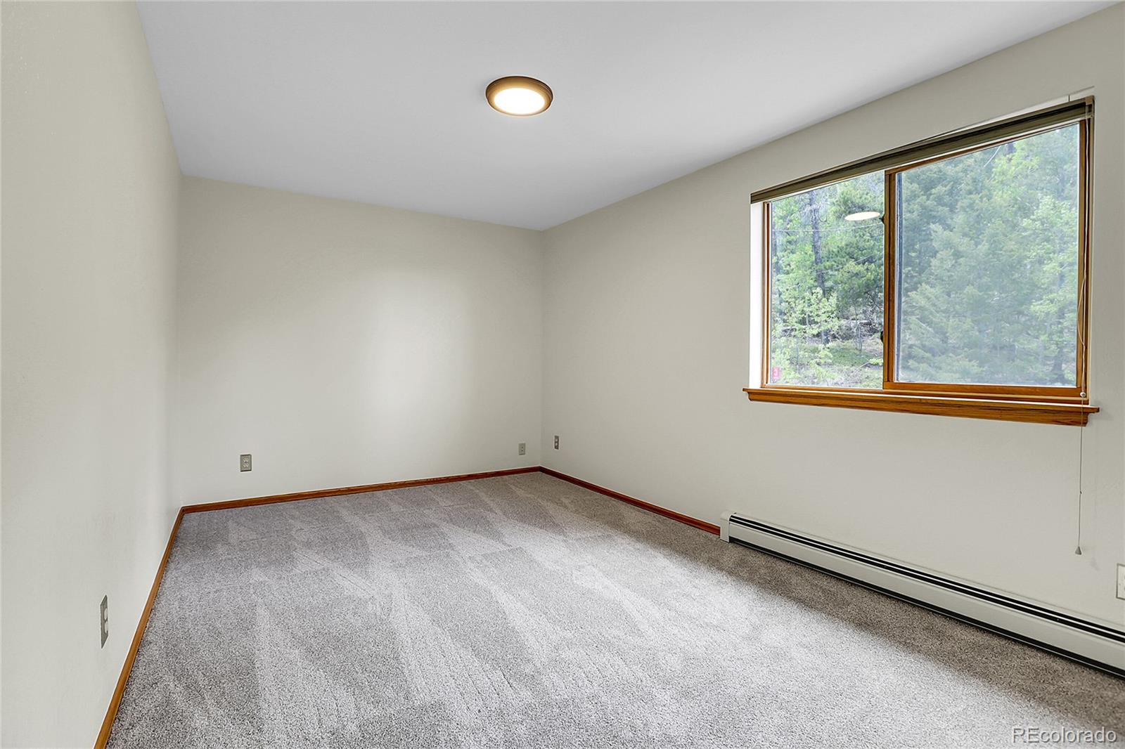 MLS Image #26 for 11333  conifer mountain road,conifer, Colorado