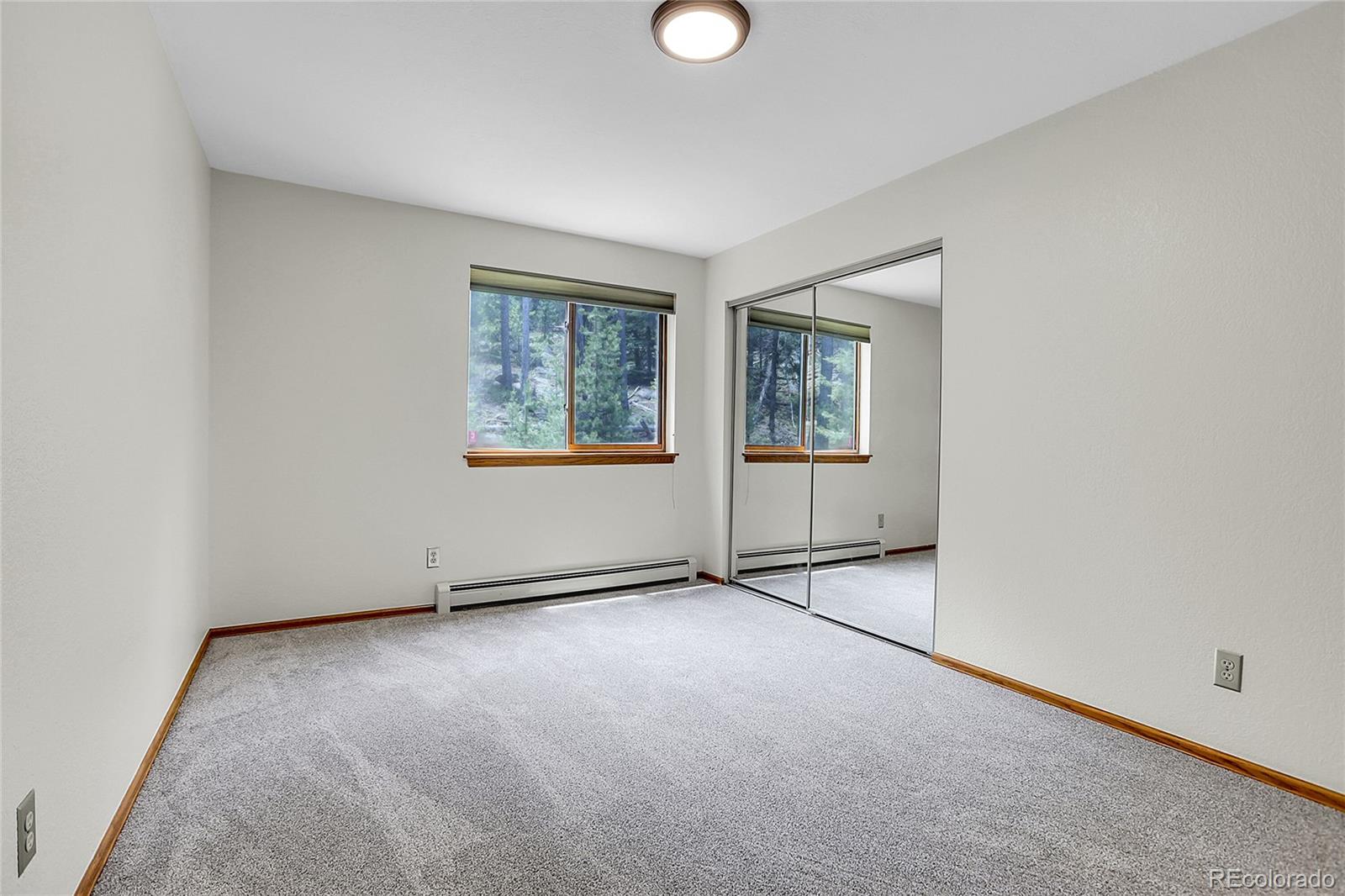 MLS Image #28 for 11333  conifer mountain road,conifer, Colorado