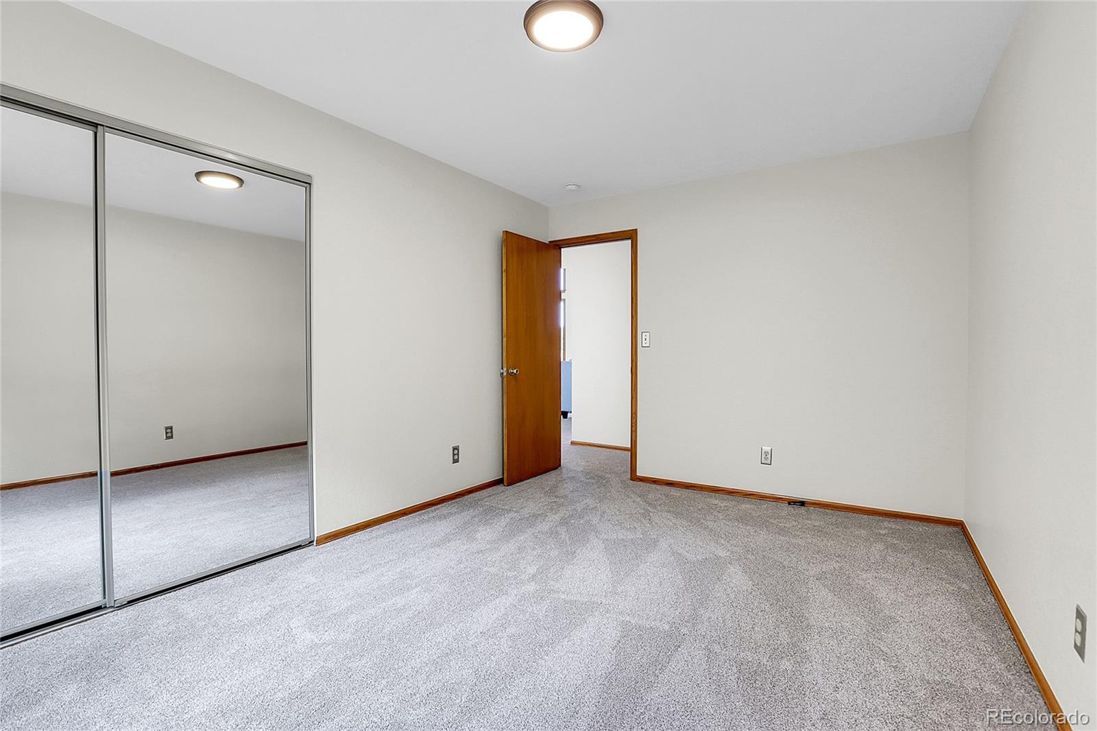 MLS Image #29 for 11333  conifer mountain road,conifer, Colorado
