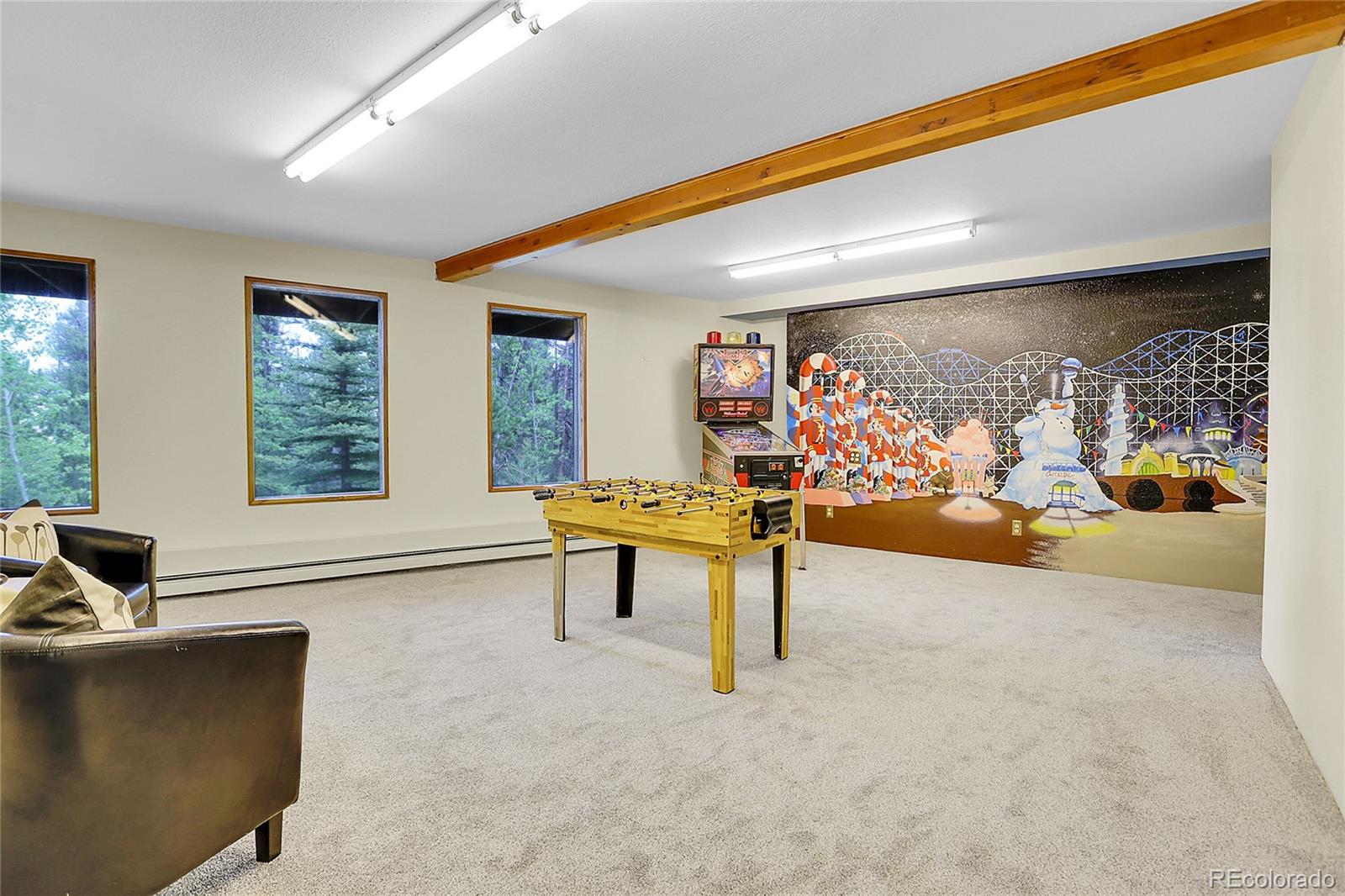 MLS Image #34 for 11333  conifer mountain road,conifer, Colorado
