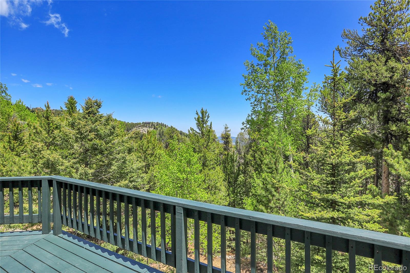 MLS Image #43 for 11333  conifer mountain road,conifer, Colorado