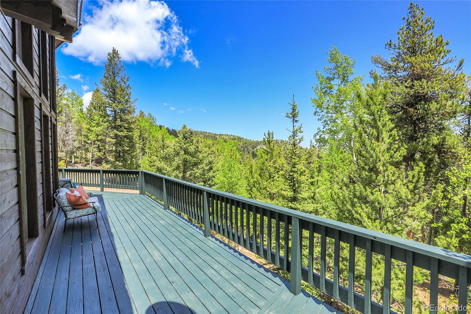 MLS Image #5 for 11333  conifer mountain road,conifer, Colorado