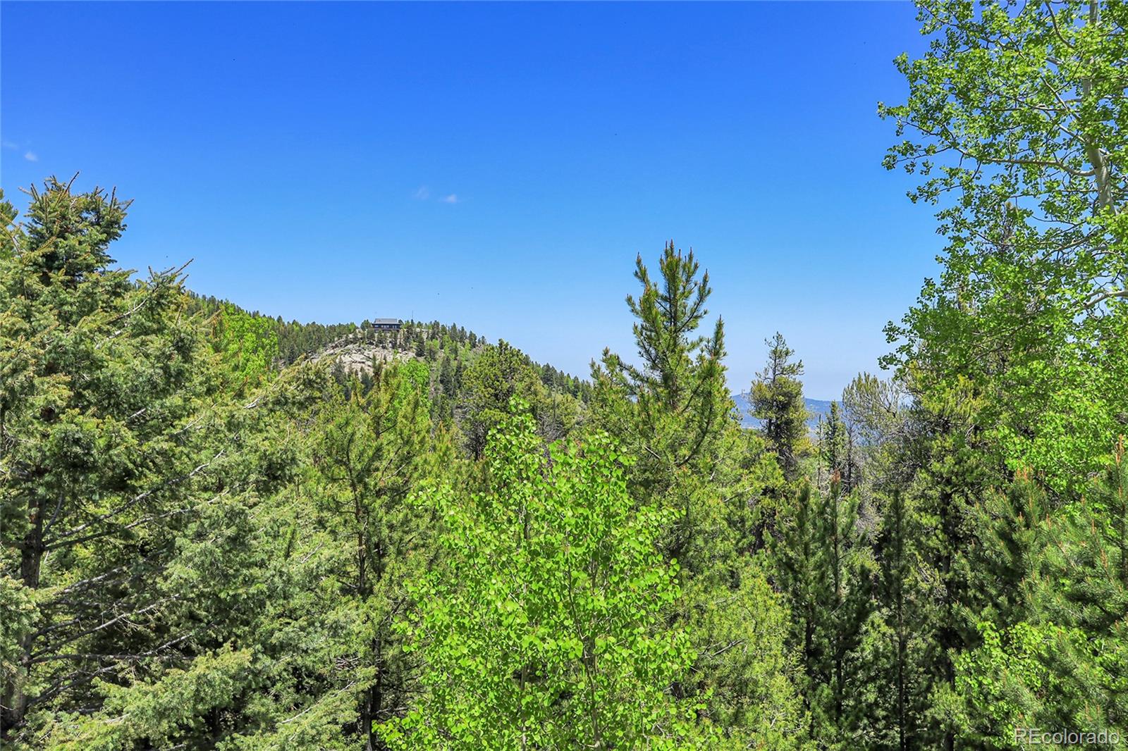 MLS Image #6 for 11333  conifer mountain road,conifer, Colorado