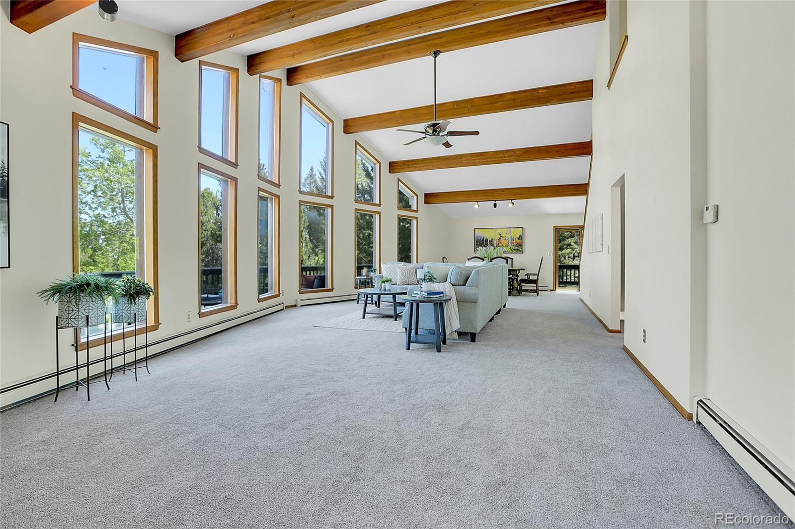 MLS Image #7 for 11333  conifer mountain road,conifer, Colorado