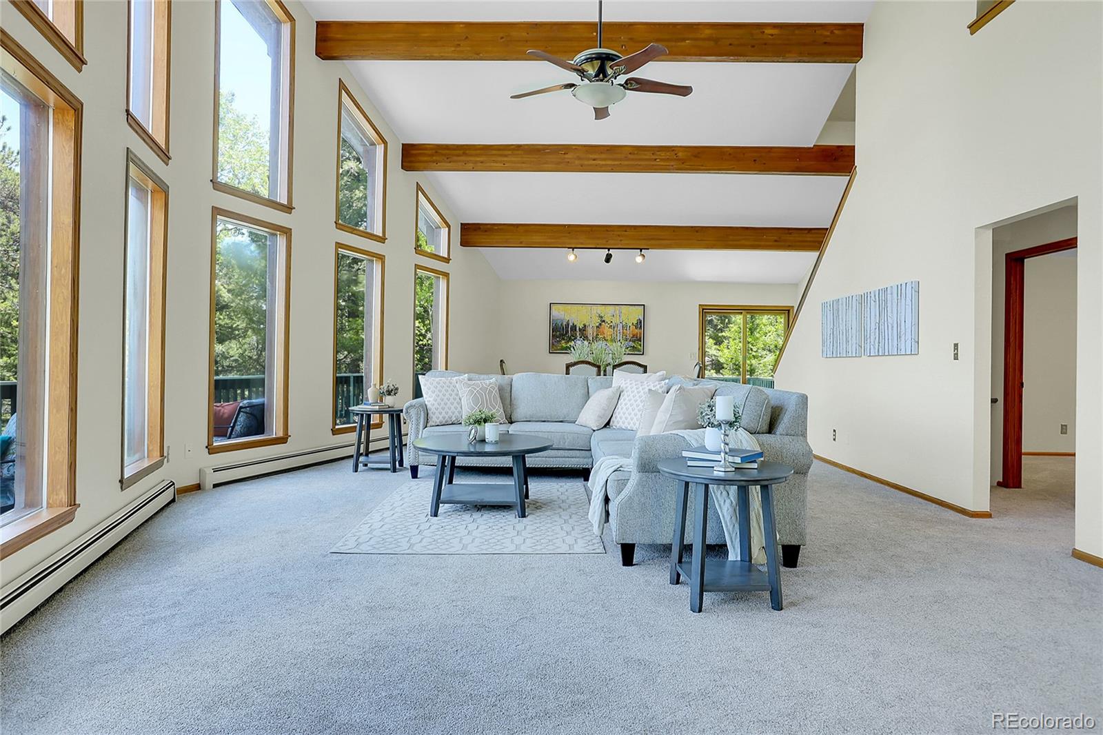 MLS Image #8 for 11333  conifer mountain road,conifer, Colorado