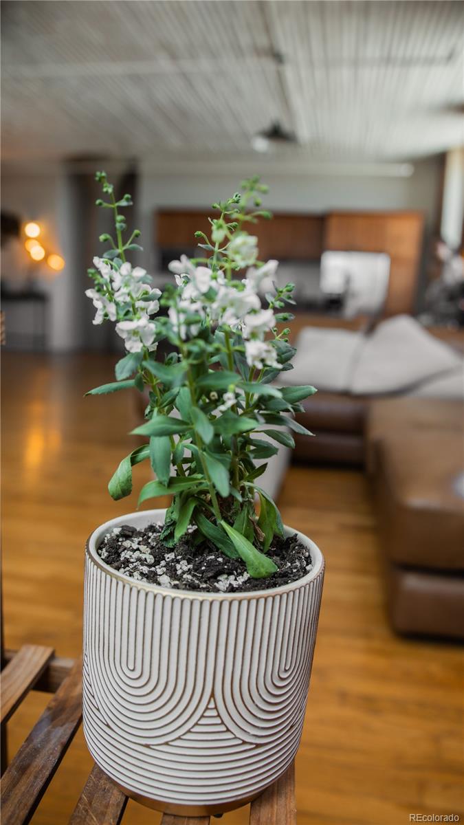 MLS Image #26 for 2261  blake street 5h,denver, Colorado