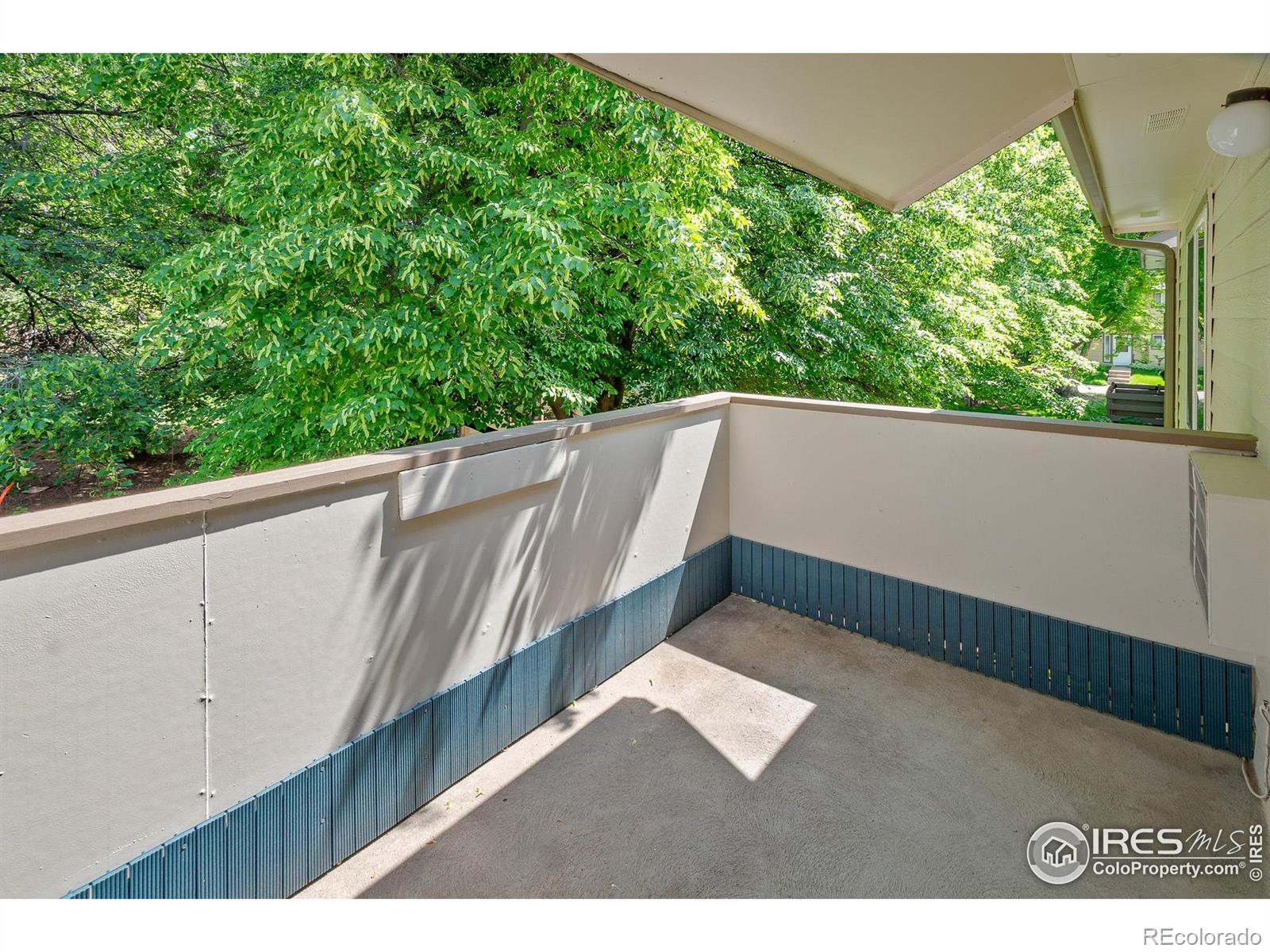 MLS Image #19 for 3465  lochwood drive,fort collins, Colorado