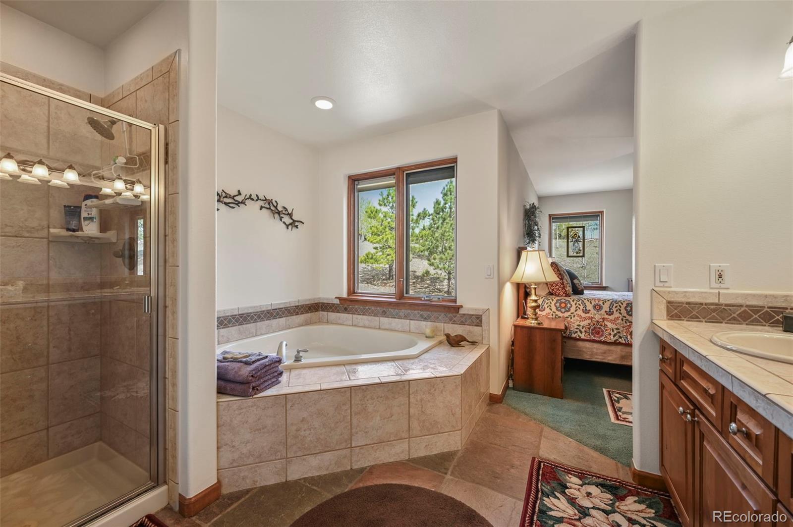MLS Image #18 for 322  sequoia road,hartsel, Colorado