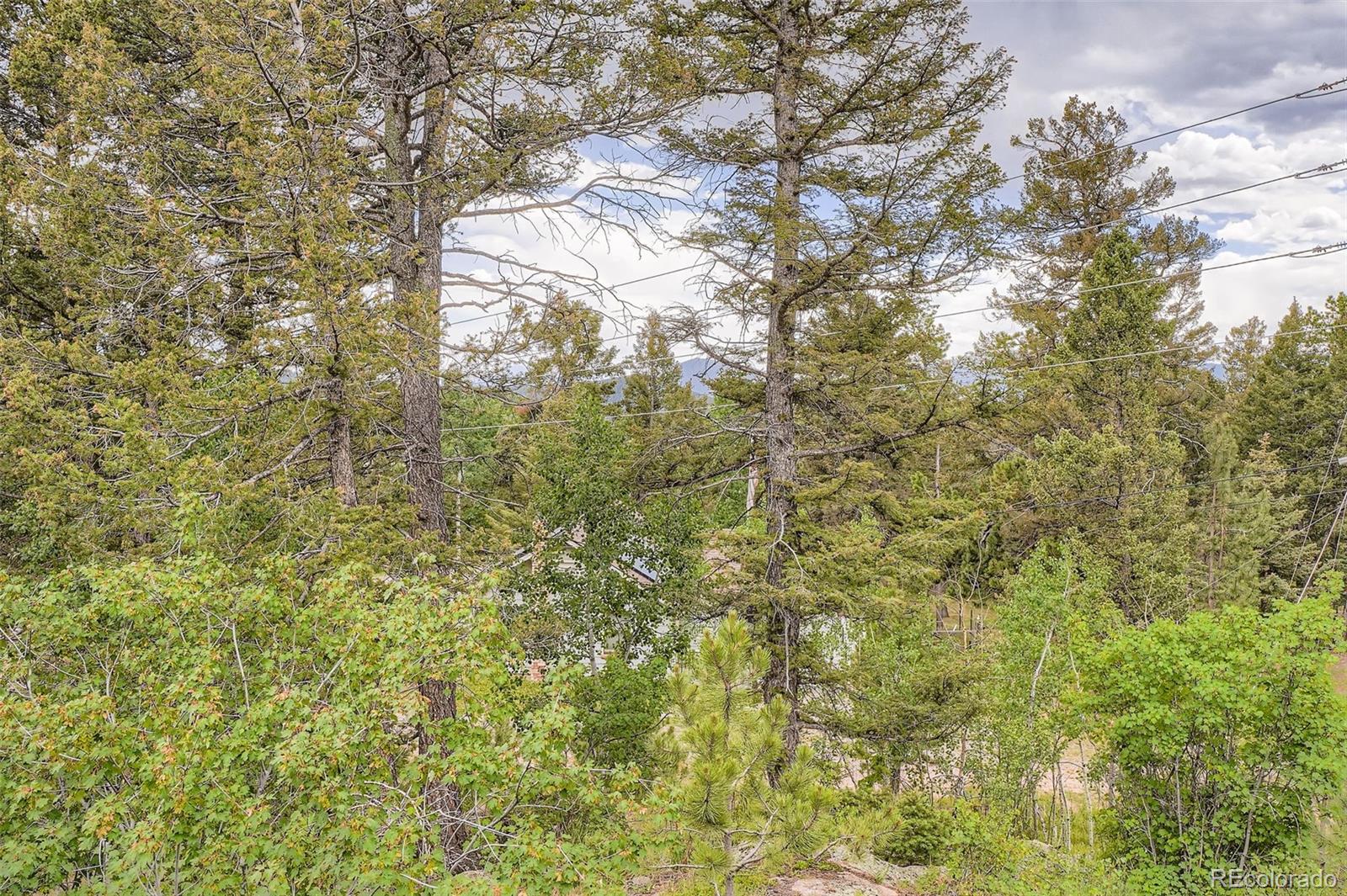 MLS Image #26 for    ,, Colorado